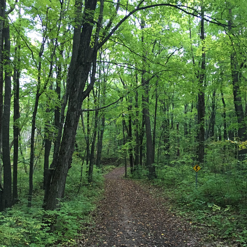 IAT - Ice Age Trail - Greenbush Kettle Moraine hiking trail