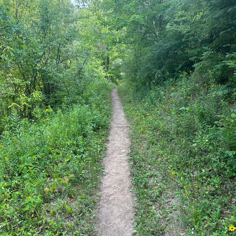 IAT - Ice Age Trail by Mauthe Lake