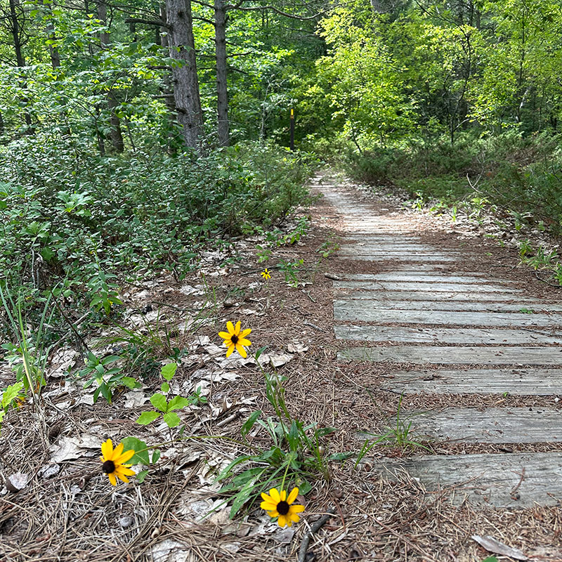 Hiking Ice Age Trail Sheboygan WI