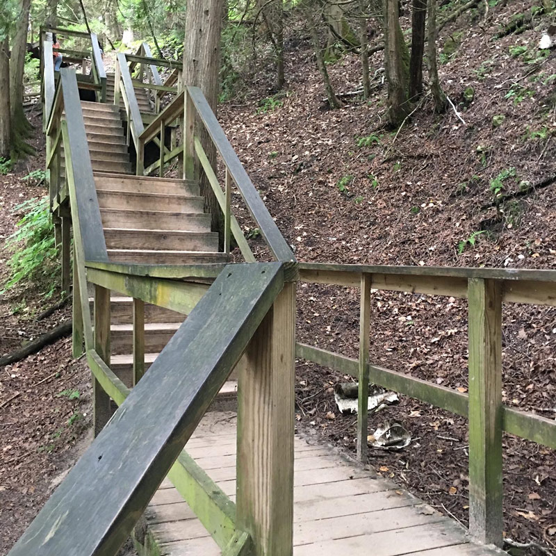 Lion's Den Beach Hike - Port Washington WI