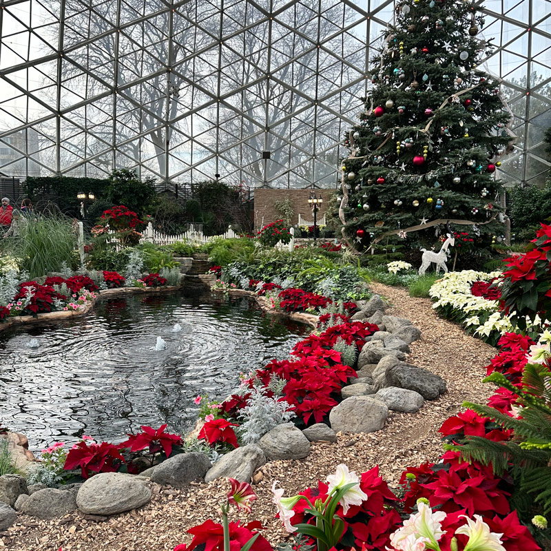 Milwaukee Mitchell Domes at Christmas